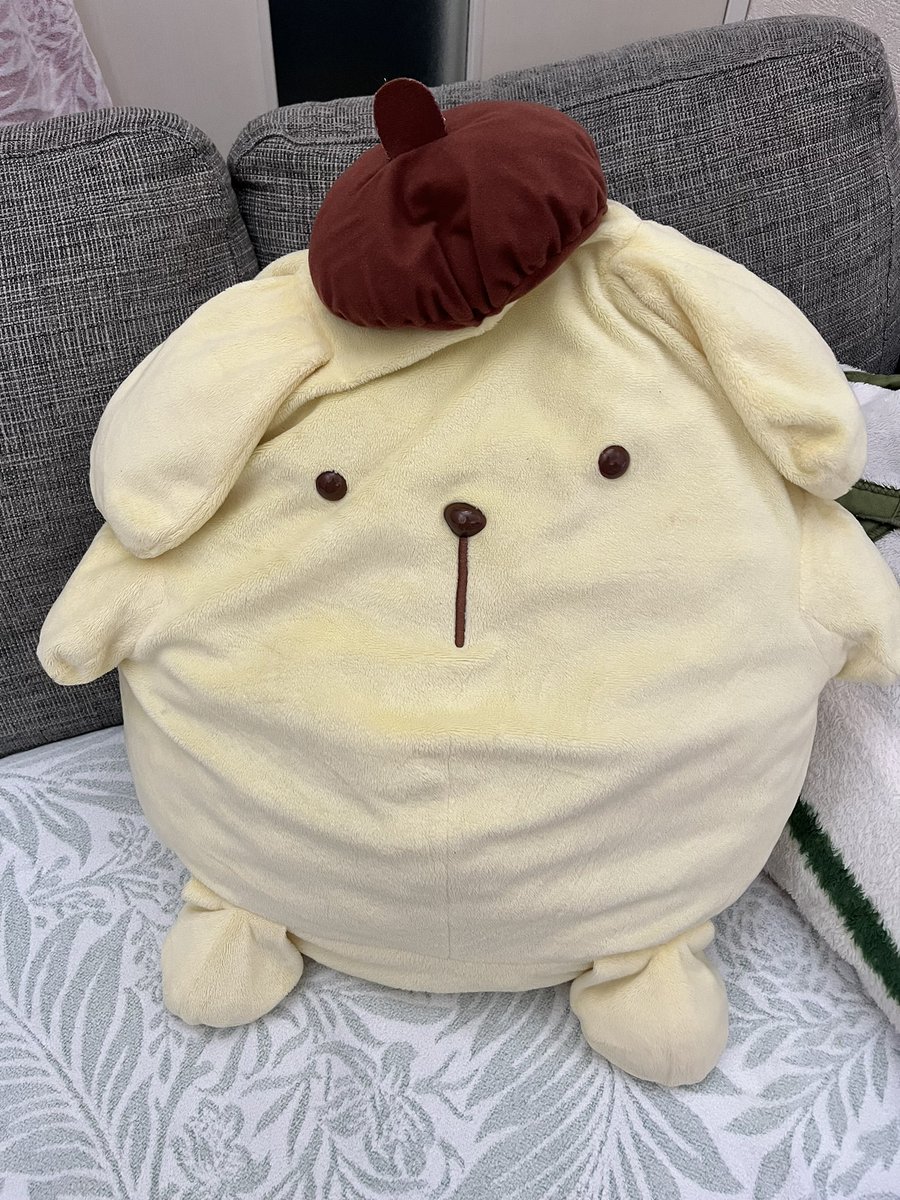 taniira_cs's tweet photo. #ネットで洗濯
さんでポムポムプリンをクリーニングしました！
美しい張りを取り戻しました！ https://t.co/q09SciZi6U