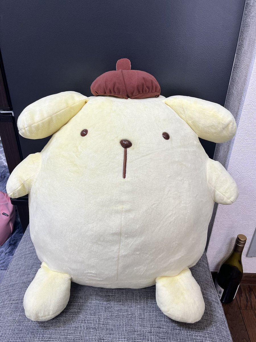 taniira_cs's tweet photo. #ネットで洗濯
さんでポムポムプリンをクリーニングしました！
美しい張りを取り戻しました！ https://t.co/q09SciZi6U