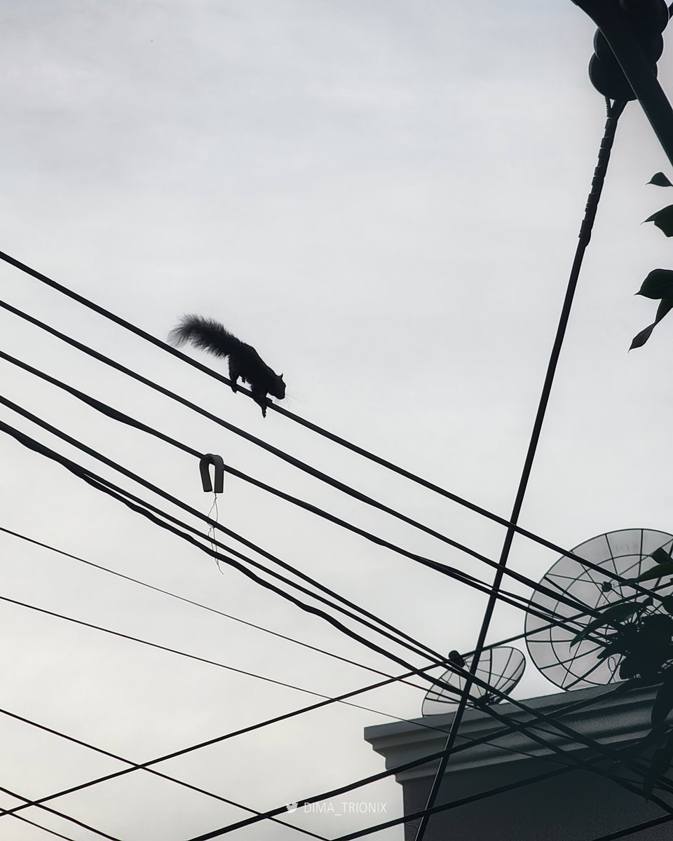 Street photography. Thanon Chan BRT.
#Bangkok #Thailand #StreetPhotography #Asia