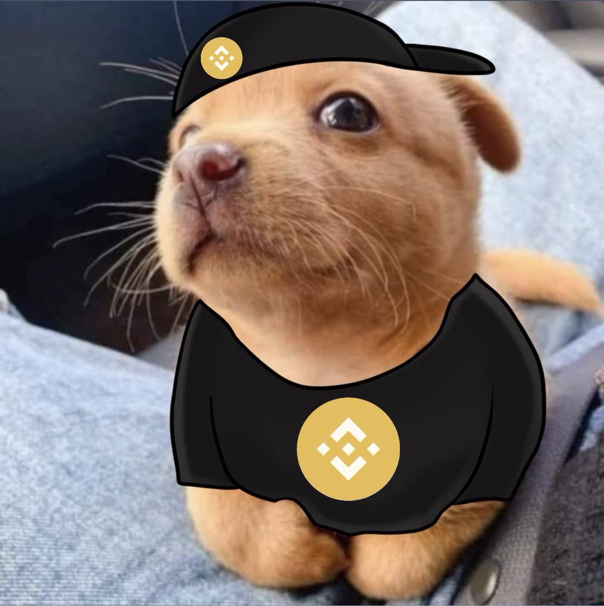 web3jedimaster's tweet photo. @wallstreetbets $Dilly is hard to not look at! The community is absolutely 💯 on fire 🔥 after they received a comment back publicly from Binance Helpdesk recently! https://t.co/o1KyKekd0a