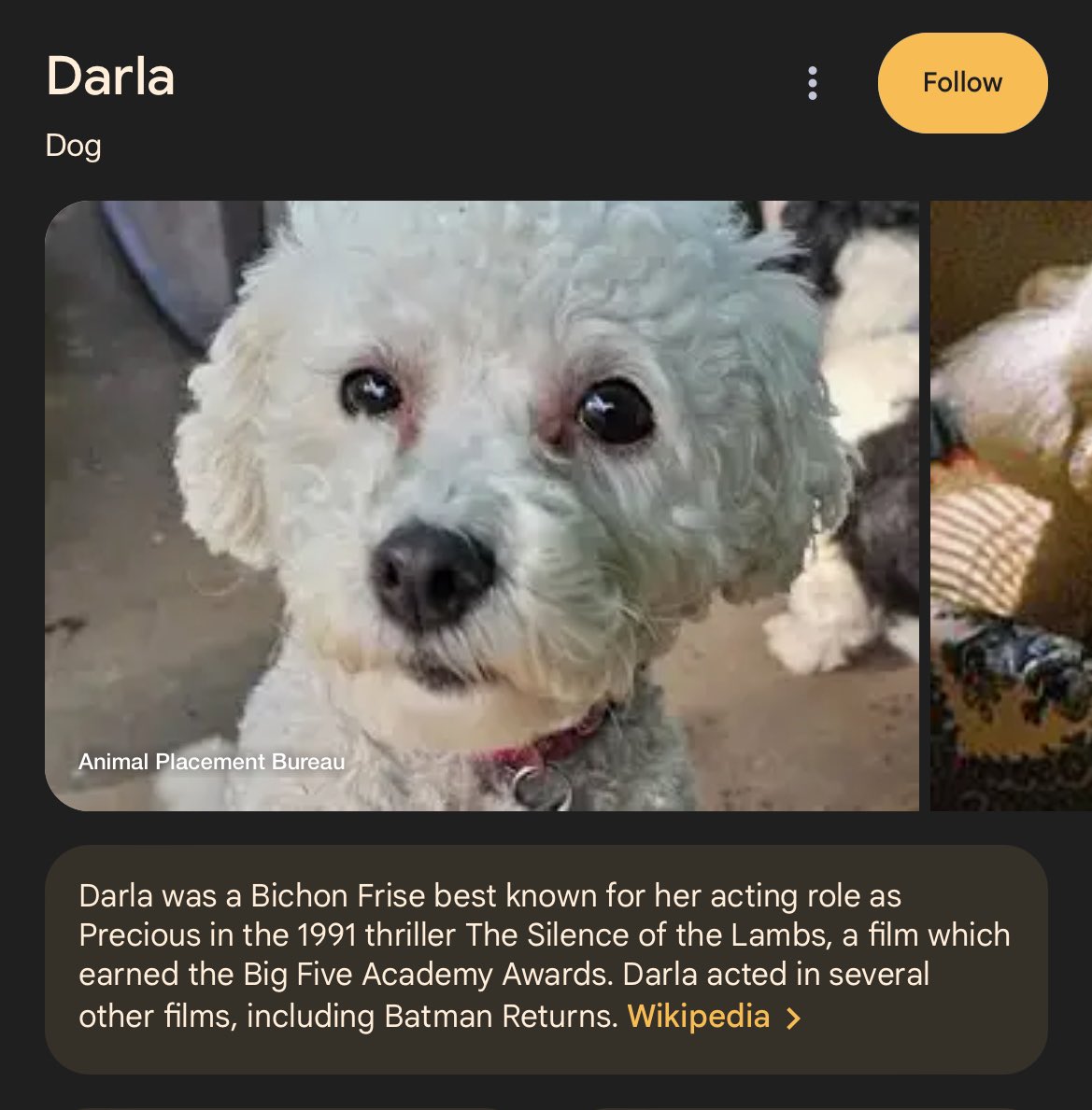 bpleasies's tweet image. 