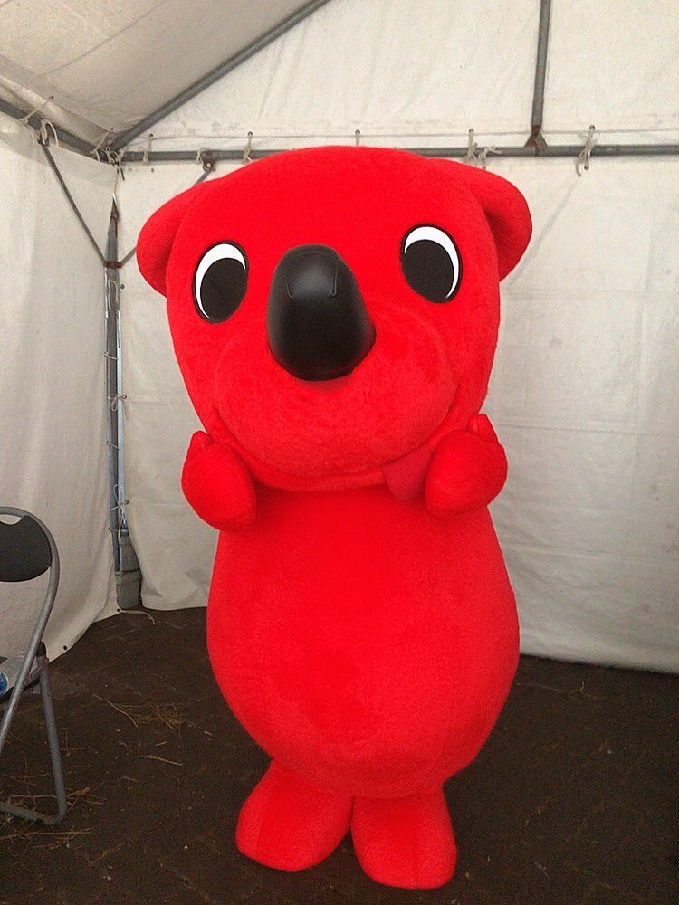 MisAchtt's tweet photo. 先日、チーバくんキャラバン隊としてデビューさせていただき、チーバくんと千葉ロッテマリーンズ【ALL FOR CHIBA Fes】にお邪魔しました❤️🖤
ご当地キャラクター達のダービーも側で応応援させていただき可愛い走りにメロメロになっちゃいました🥰
また皆さんにお会いできますように⭐️
#chi_bakun_chiba https://t.co/aHyZlyljP4