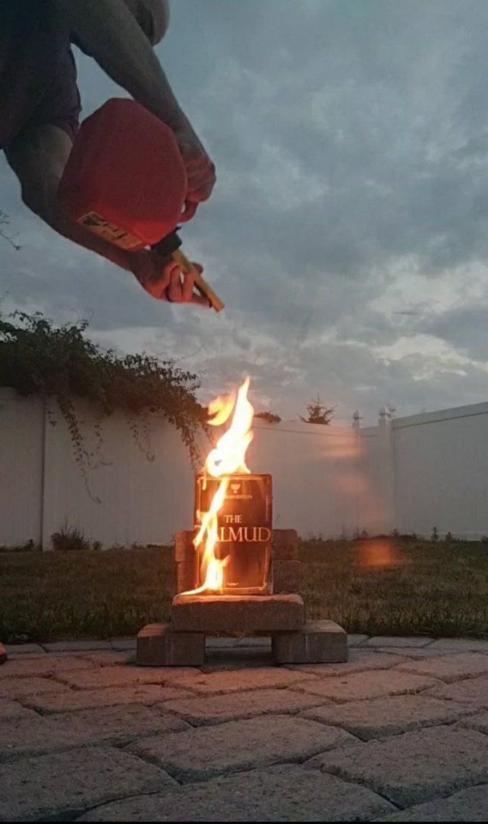 ElijahSchaffer's tweet photo. I was told only Muslims acted irrational when their holy book was burned https://t.co/D3BWyxxSrE