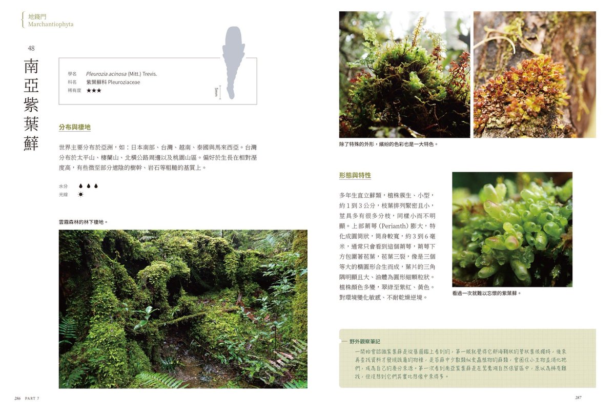 新書《台灣苔蘚微觀誌》正式上線了喔
火熱預購中🤌🤌🤌
連結我放在留言處
有什麼問題都可以來訊詢問