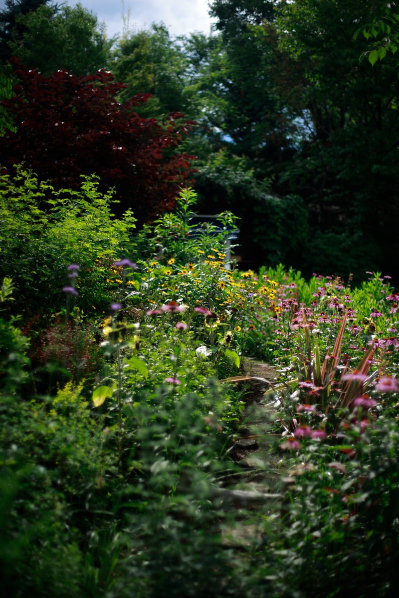 nero63280304's tweet image. ラ・カスタ　
ヒーリングガーデンへ🪴✨

癒されました☺️♬

#LaCASTA 
#ラカスタヒーリングガーデン 
#写真が好きな人と繋がりたい 
#photooftheday 
#FLOWERGARDEN 
#flower