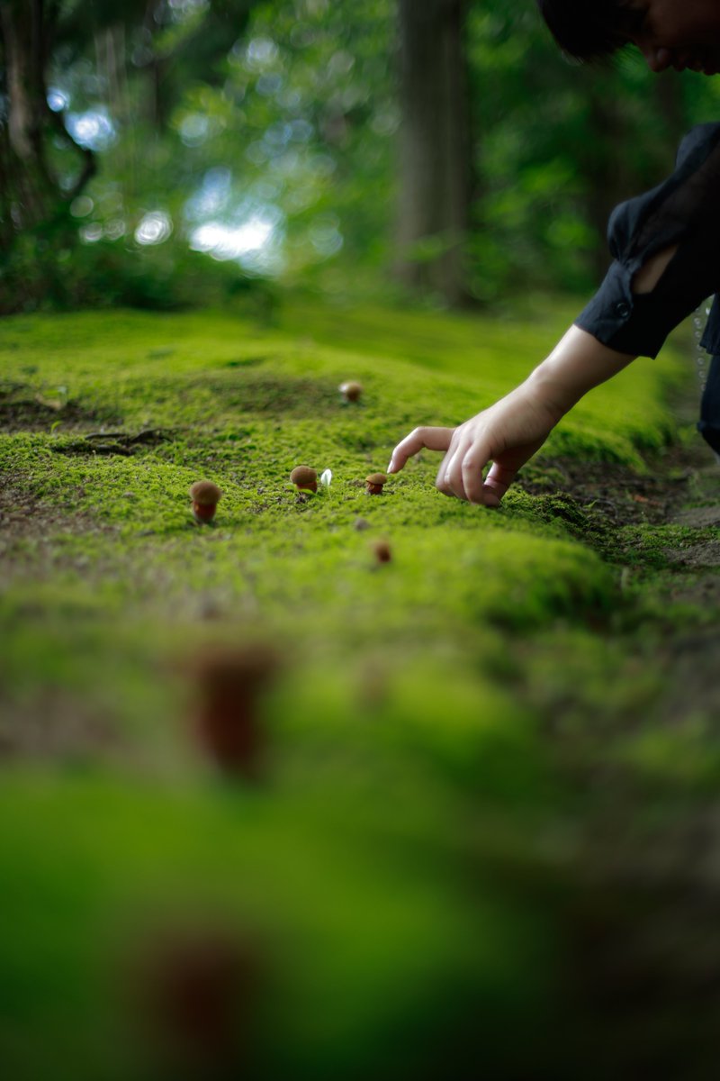 nero63280304's tweet image. ラ・カスタ　
ヒーリングガーデンへ🪴✨

癒されました☺️♬

#LaCASTA 
#ラカスタヒーリングガーデン 
#写真が好きな人と繋がりたい 
#photooftheday 
#FLOWERGARDEN 
#flower