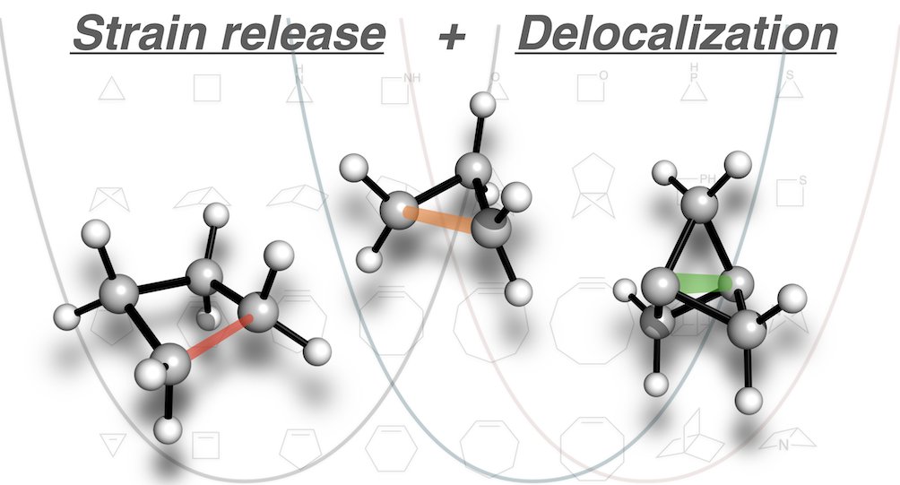 Fernanda Duarte (@fjduarteg) on Twitter photo Delighted to see Alistair's work <a href="/JOC_OL/">J Org Chem/Org Lett</a>! We introduce a simple model for predicting strain-based reactivity, moving beyond the prevalent idea of geometric strain. As someone once said "Everything should be made as simple as possible, but no simpler"pubs.acs.org/doi/10.1021/ac… Delighted to see Alistair's work <a href="/JOC_OL/">J Org Chem/Org Lett</a>! We introduce a simple model for predicting strain-based reactivity, moving beyond the prevalent idea of geometric strain. As someone once said "Everything should be made as simple as possible, but no simpler"pubs.acs.org/doi/10.1021/ac…