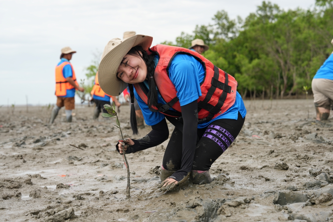 CSCECASIAPACIFC's tweet image. Our team from China-Thailand High-Speed Railway Project volunteered in the mangrove forest natural reserve in Samut Songkhram. We worked together to plant saplings along the mud bank. Let&apos;s take actions to protect the environment and promote biodiversity!