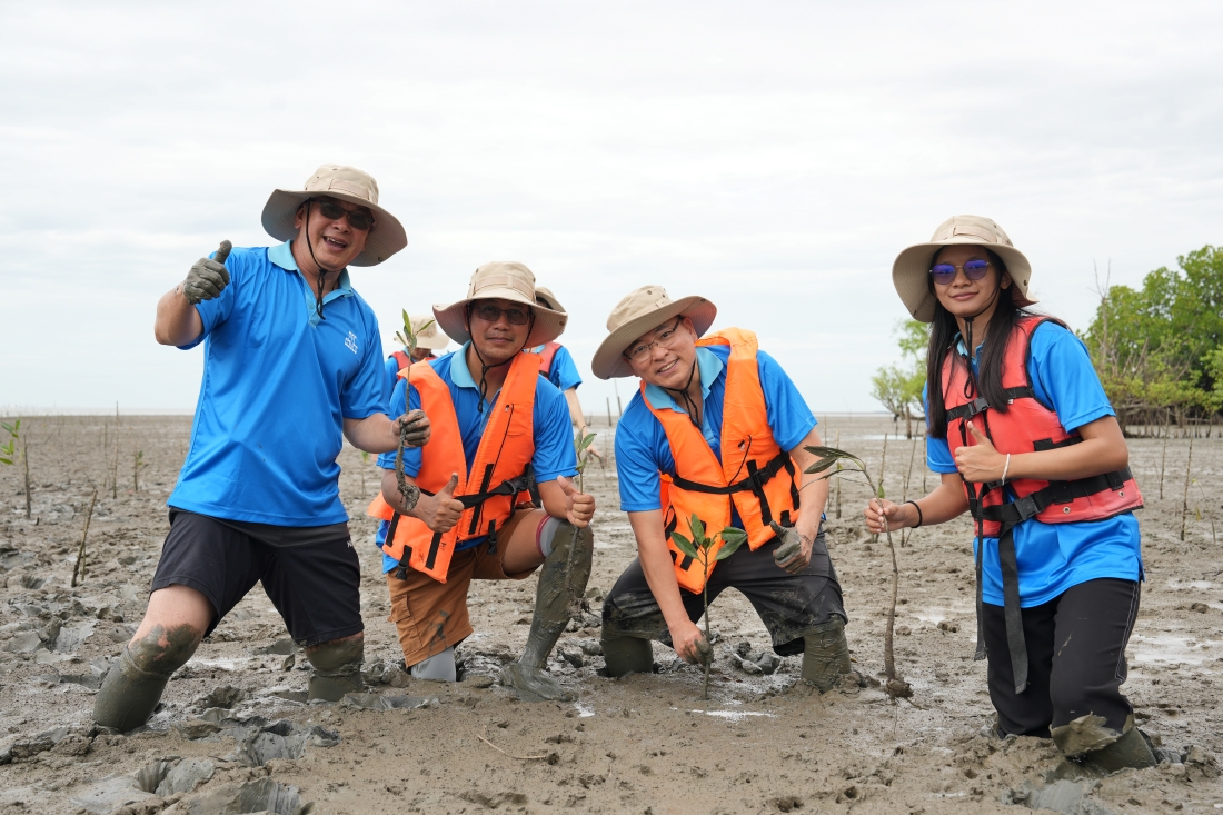 CSCECASIAPACIFC's tweet image. Our team from China-Thailand High-Speed Railway Project volunteered in the mangrove forest natural reserve in Samut Songkhram. We worked together to plant saplings along the mud bank. Let&apos;s take actions to protect the environment and promote biodiversity!