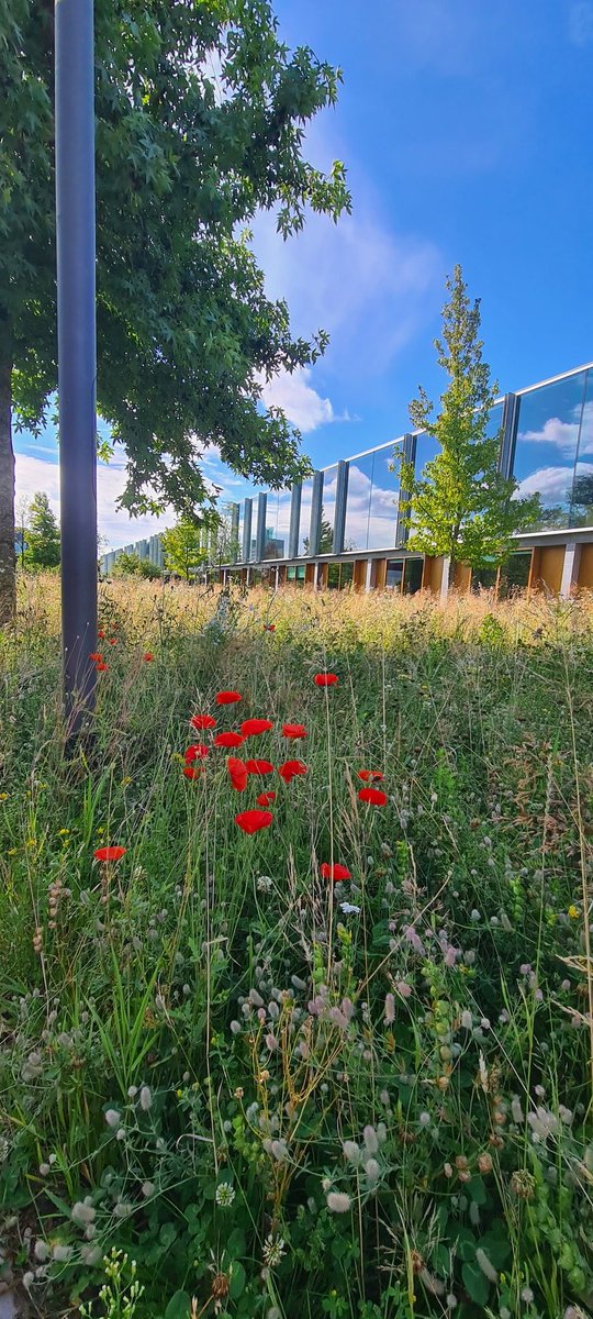 Judith Michael tweet media