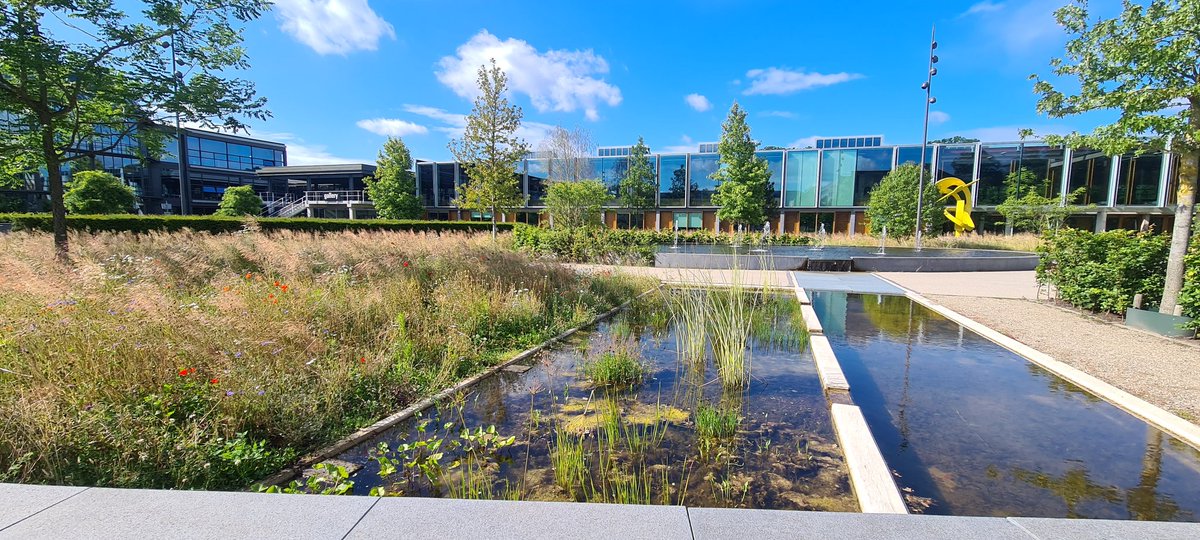 Judith Michael tweet media