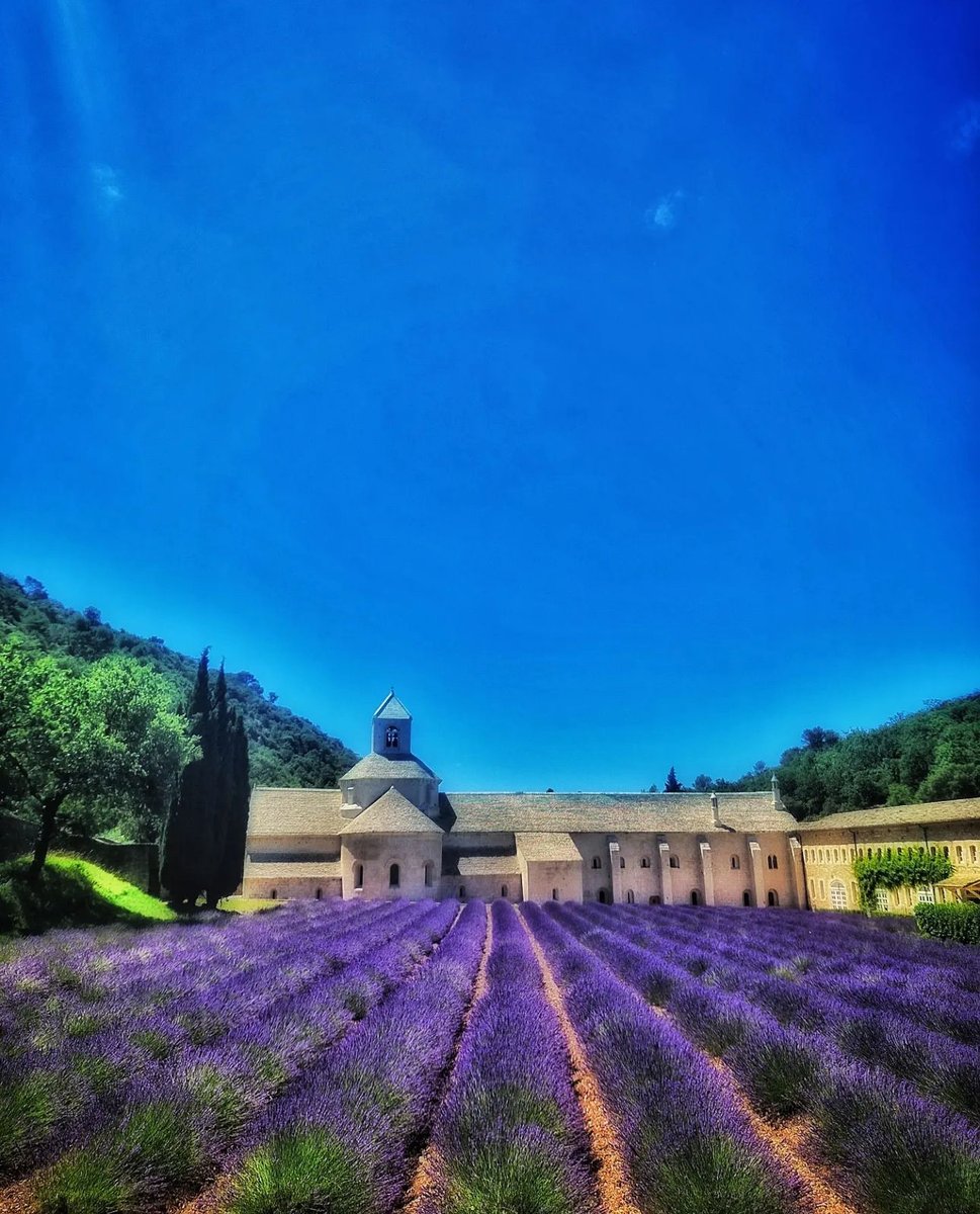 MaRegionSud's tweet photo. 🪻 Quoi de mieux pour commencer la semaine qu’une bonne dose de Sud ? Bonne journée à tous depuis l’Abbaye de Senanque #MondayMotivation 🌞
📸 @aixenprovencebyaurelie
#abbayedesenanque #cacestlesud #lesoleilseleveausud #regionsud https://t.co/tyVPbbJmax