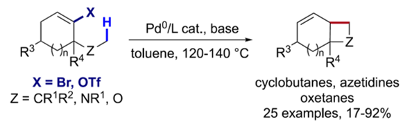 Baudoin Research Group (@baudoin_group) on Twitter photo Interested in cyclobutanes, azetidines and oxetanes?🔳 Check out our just-published paper on the synthesis of fused 4-membered rings enabled by 1,4-palladium migration! <a href="/J_A_C_S/">J. Am. Chem. Soc.</a>
Read more here: pubs.acs.org/doi/10.1021/ja… Interested in cyclobutanes, azetidines and oxetanes?🔳 Check out our just-published paper on the synthesis of fused 4-membered rings enabled by 1,4-palladium migration! <a href="/J_A_C_S/">J. Am. Chem. Soc.</a>
Read more here: pubs.acs.org/doi/10.1021/ja…