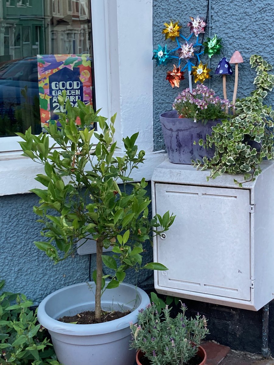 Some lovely gardens in Windmill Hill &amp; Victoria Park - Bristol with Good Front Garden Awards proudly displayed.