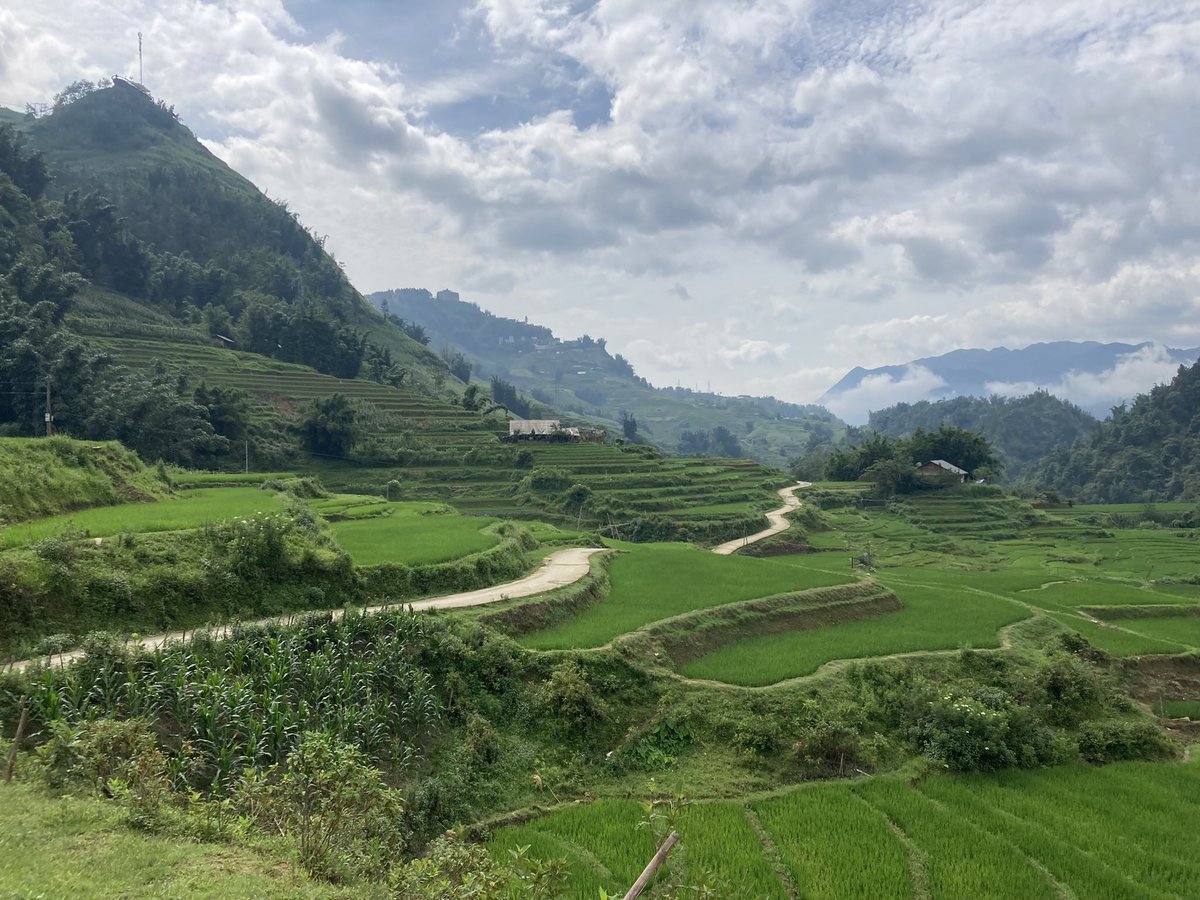 Sandy van Heerde tweet media