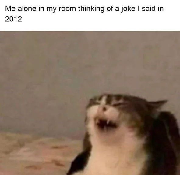 WholesomeMemes tweet media