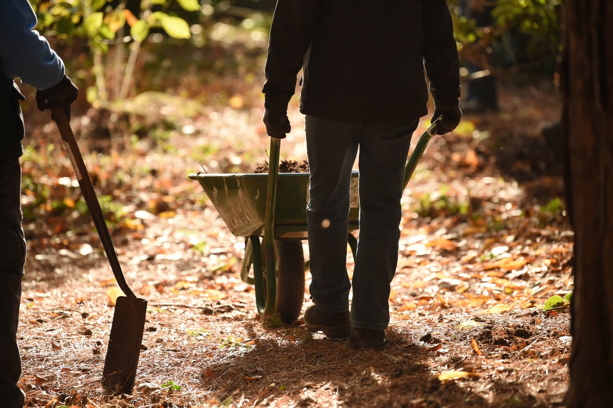 Garden volunteers wanted 📢

We have two exciting volunteer roles within our expanding Garden &amp; Outdoors team here at Petworth:

Groundsperson/Gardener
myvolunteering.nationaltrust.org.uk/opportunity-vi…

Gardener – Horticultural
myvolunteering.nationaltrust.org.uk/opportunity-vi…

📷©National Trust Images/John Millar

#PetworthNT