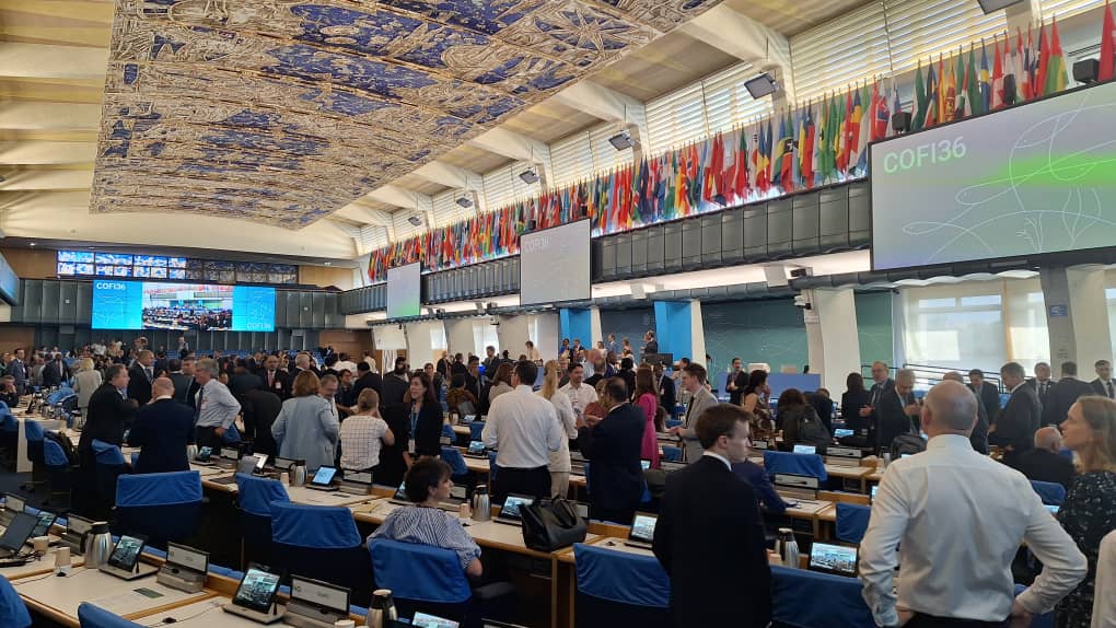 AfriqueCaopa's tweet photo. Day 1⃣/1⃣ After three days of #SSFSummit, it's off to the 36th session of the @FAO Committee on Fisheries.
The #COFI36 takes place from July 8 to 12, 2024.
It brings together fisheries ministers and delegates @FAOfish.
@SSF_Nicole @SSFHub @FAOWestAfrica @coopesolidar https://t.co/SaqYcoUj6n