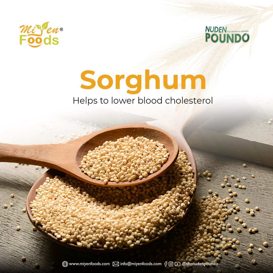 thenudenpoundo's tweet photo. Did you know Sorghum, a key ingredient in Nuden Poundo, helps lower bad cholesterol?
This gluten-free, nutrient-rich grain makes Nuden Poundo a perfect choice for those seeking a delicious and heart-conscious option.
#NudenPoundo #HealthyEating #NutrientPowerhouse https://t.co/JUOyPJBJeK