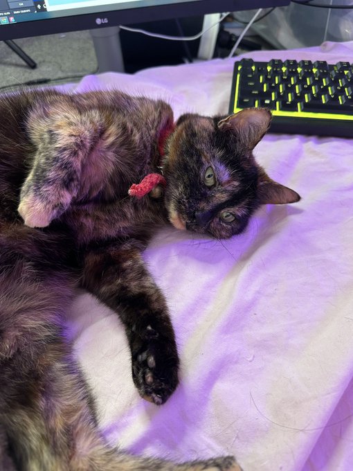 baby longs for the keyboard https://t.co/1fbsU4gifz<a href="/tag/mvsales"class="tags"><span>#mvsales</span></a>