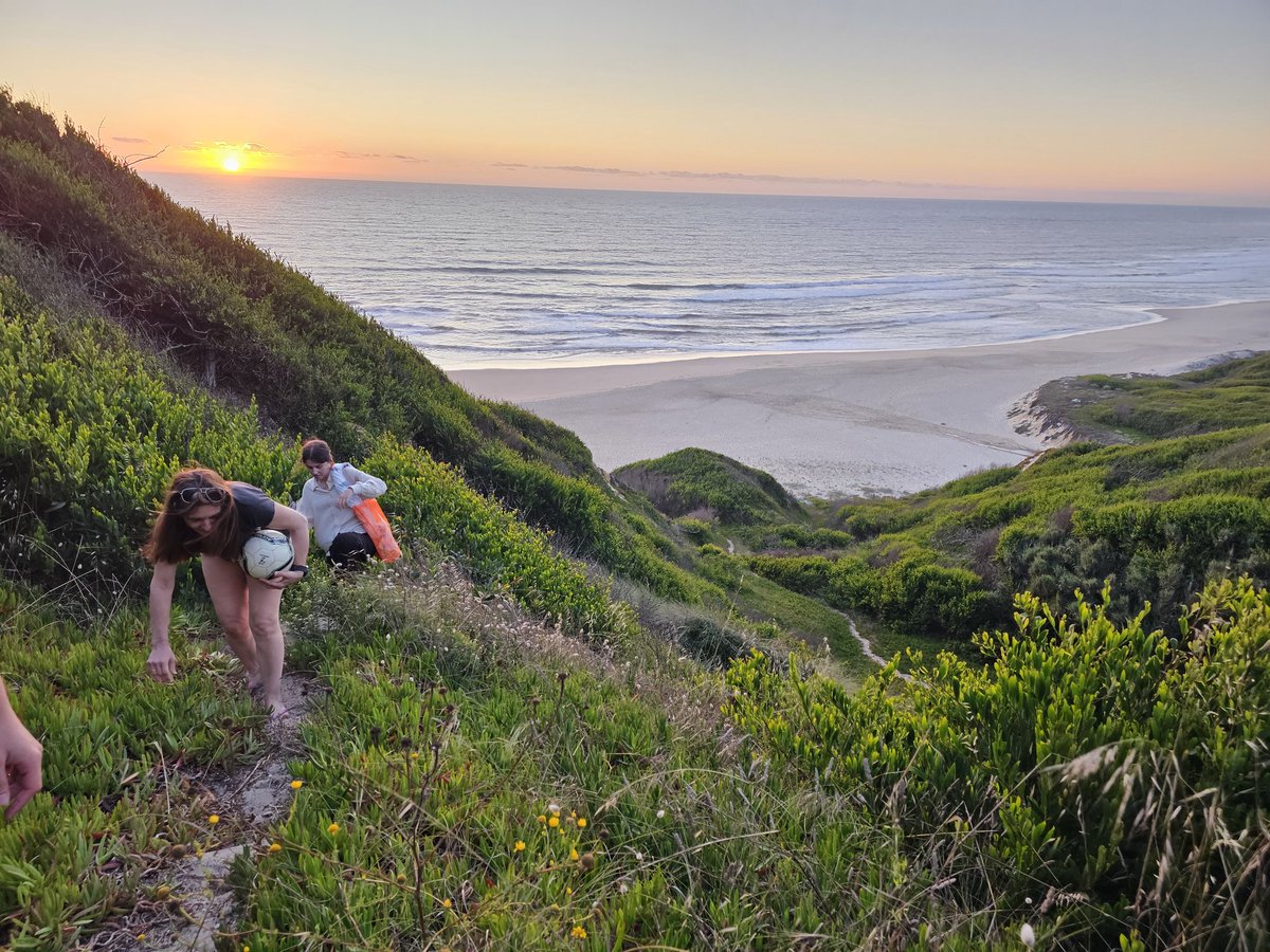ElBlogdeEmilio's tweet image. Buenos días #PiñaDigital Ayer me llevé a la tropa de excursión a la playa. La vuelta fue cuanto menos, curiosa.