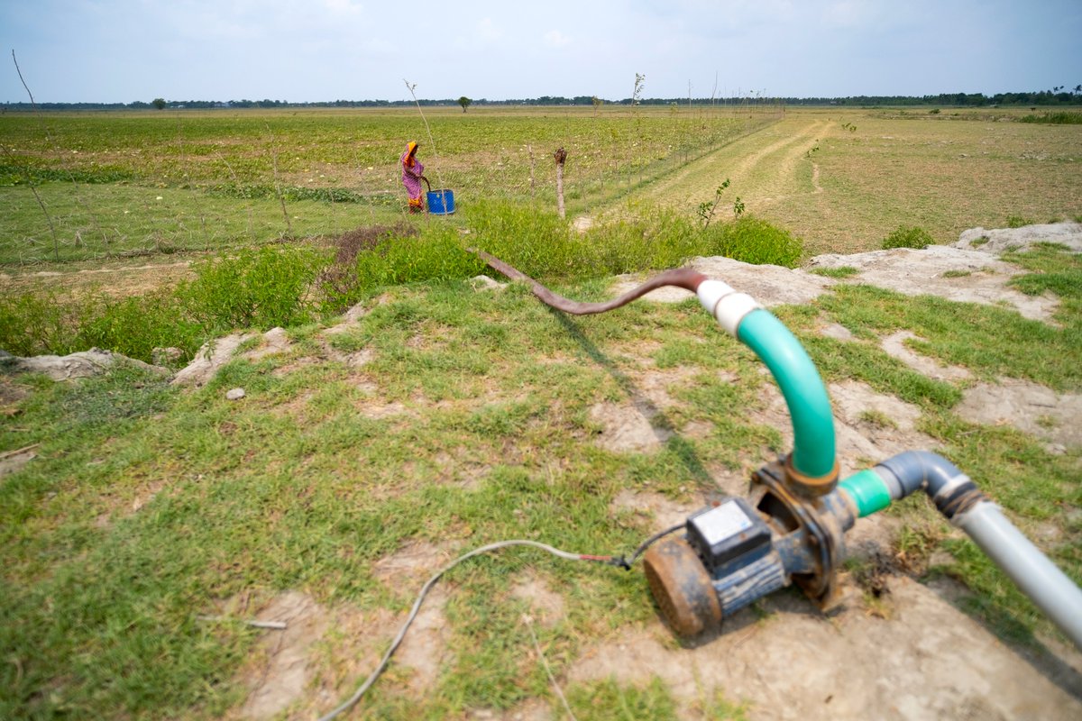 UNDP_BD's tweet photo. 🌾Restored irrigation canals bring prosperity back to the #CycloneAila affected region of coastal #Khulna! Thru @UNDP's #LoGIC proj in 🤝w/ @UNCDF & GoB 🇧🇩, supported by #PartnersAtCore @EUinBangladesh 🇪🇺, @SwedeninBD 🇸🇪 , & @DKAmbBD 🇩🇰 women in the community are leading the way to bountiful yields.
Read more 🔗👉https://t.co/3NbVn1l599