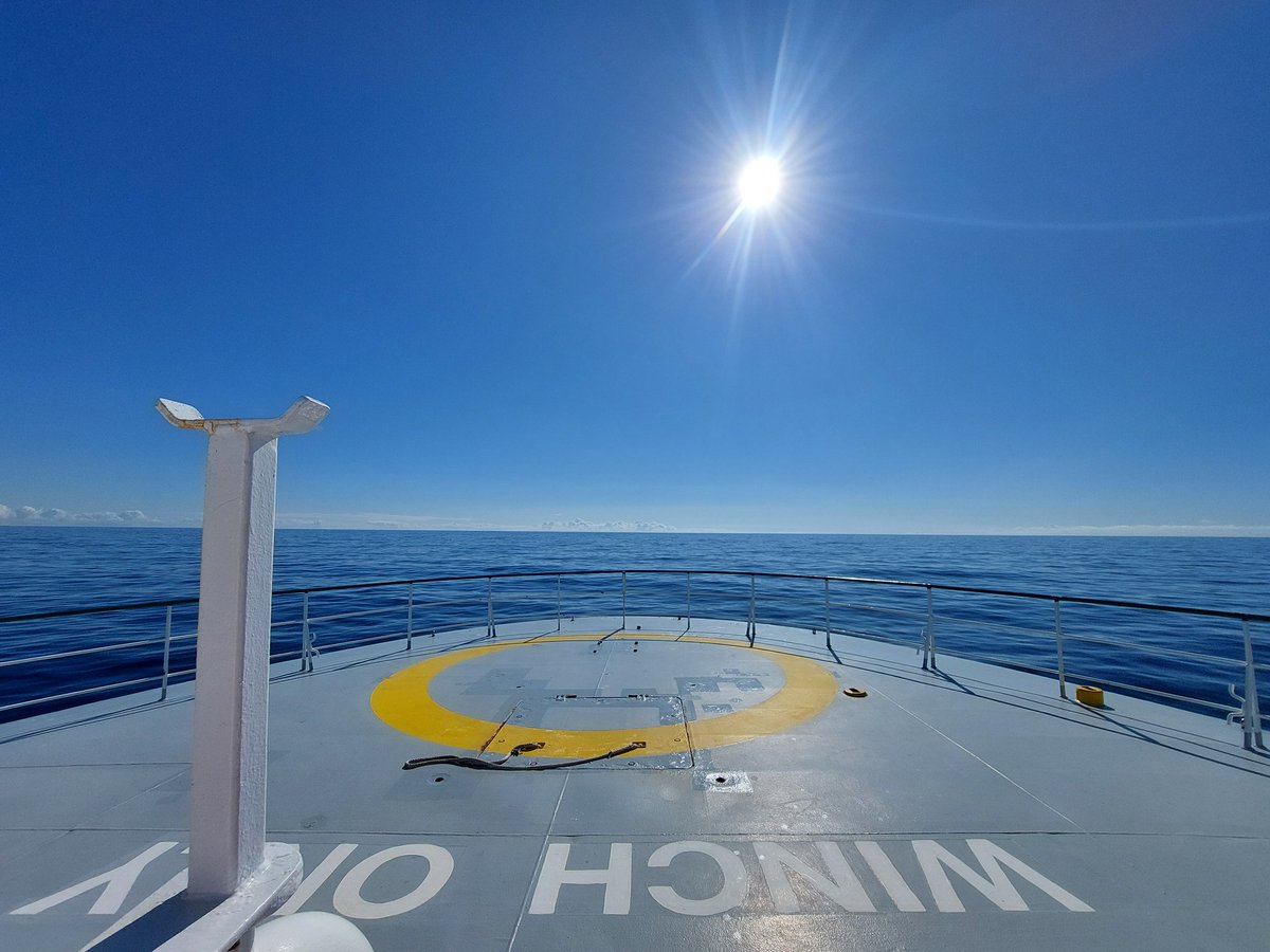 Damien McCallig tweet media