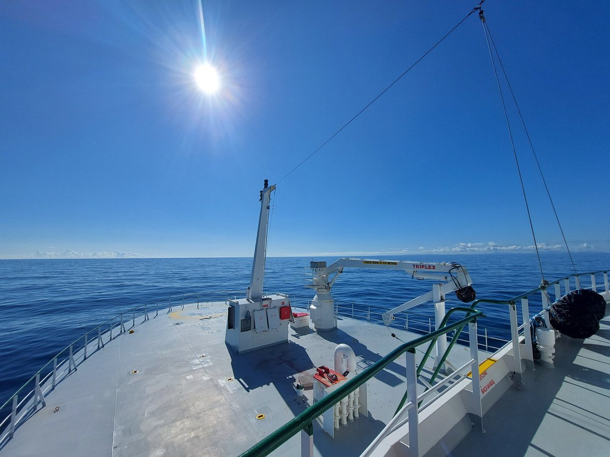 Damien McCallig tweet media