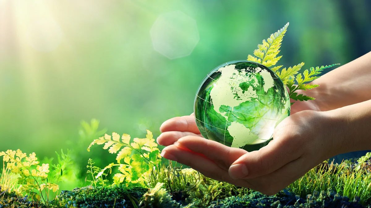 كل ما نحتاجه موجود في الطبيعة ، كل ما نحتاجه هو اكتشافها .
Everything we need is in nature, all we need is to discover them