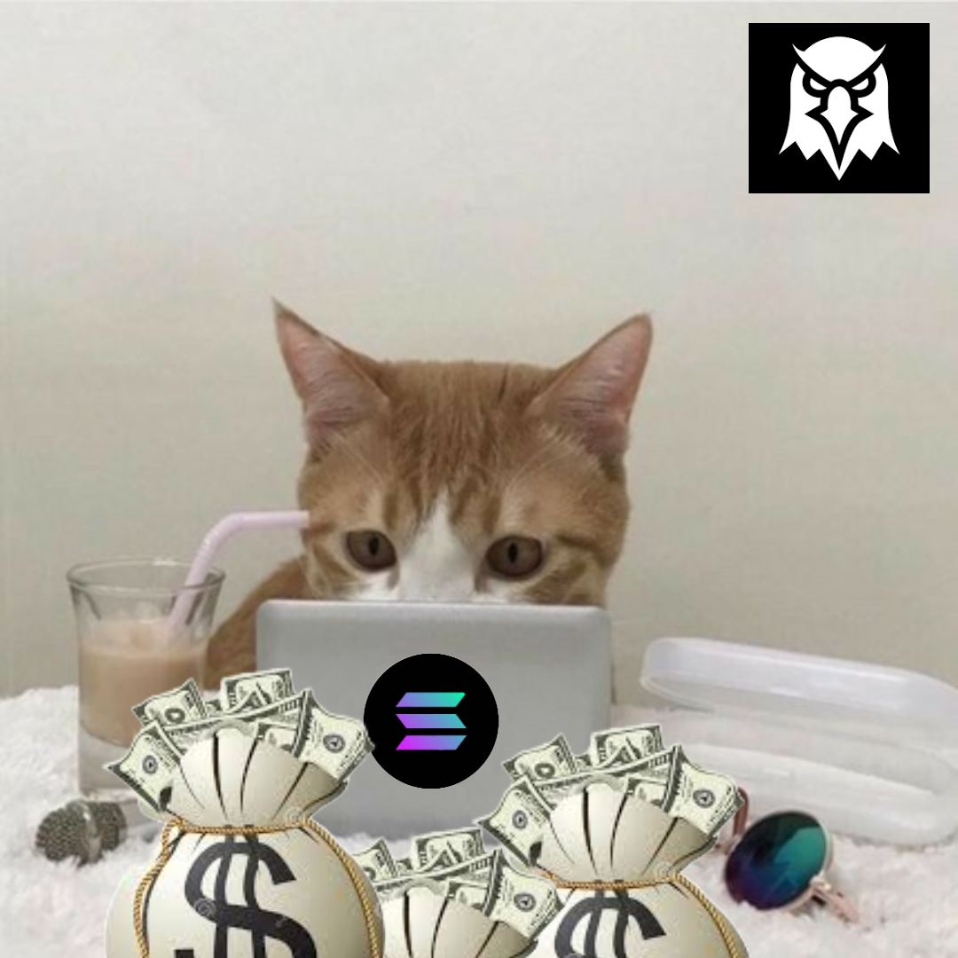 Paying Dex CTO tweet media