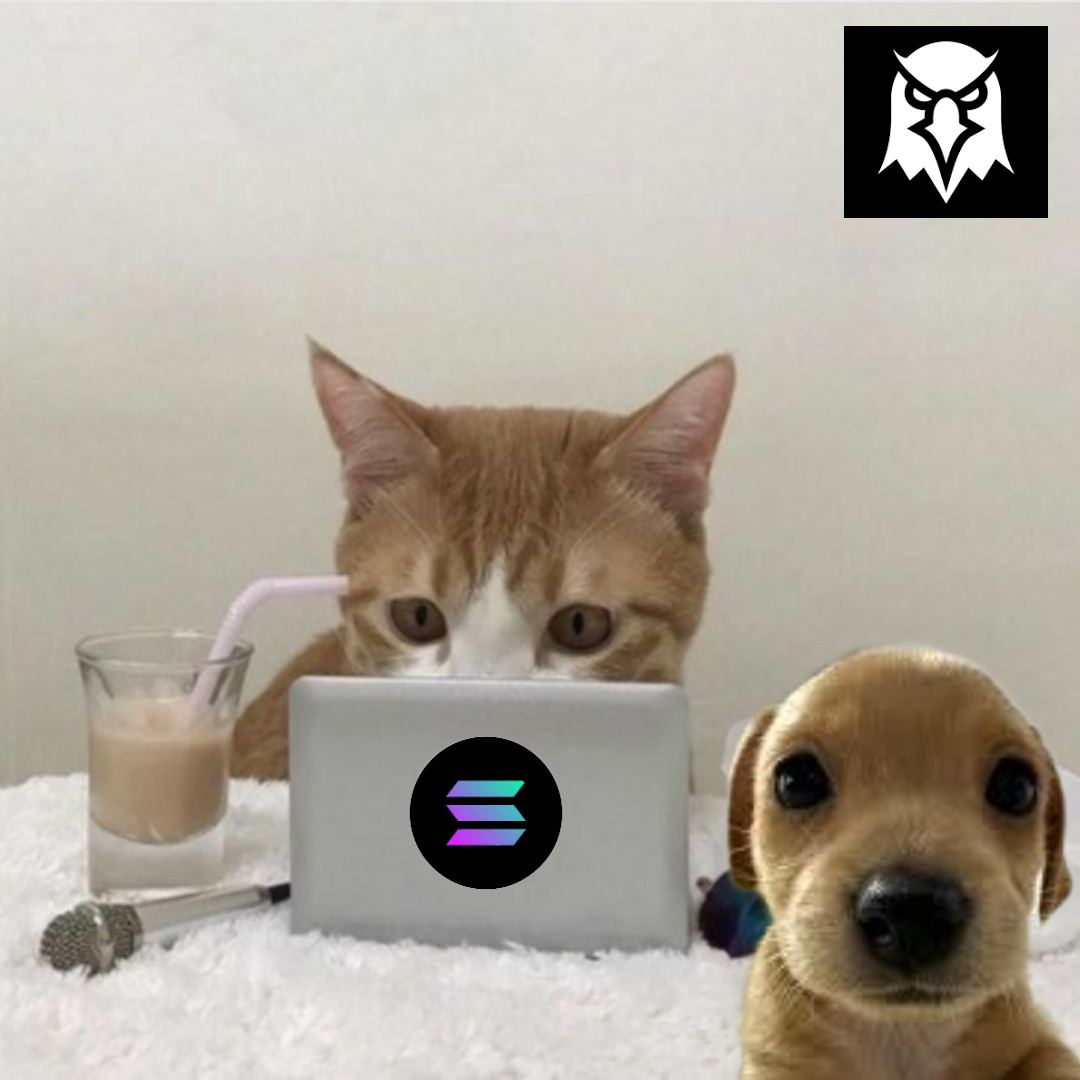 Paying Dex CTO tweet media