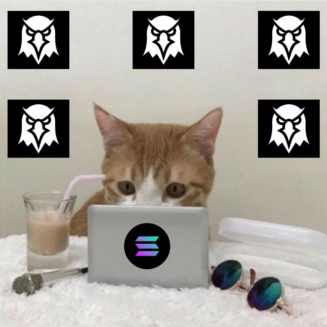 Paying Dex CTO tweet media