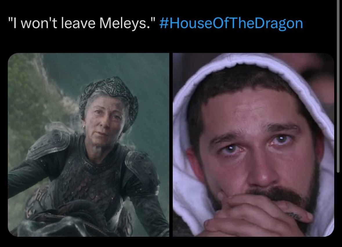 ladyclegane's tweet photo. This was me tonight! πππ ... meme taken from @targary_n #hotd #houseofthedragon #hotds2 #iloveRhaenys #RIPMeleys https://t.co/S05ZDTEgHX