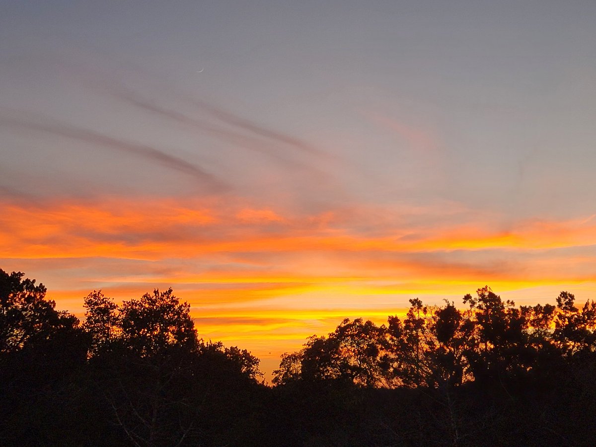 aemcburney's tweet image. Sunset this evening, and the cresent Moon.
.
.
.
#SpringBranch #ComalCounty #Texas #TexasSky #clouds #cloudscape #sky #bluesky #sun #sunset #twilight #dusk #HillCountry #TexasHillCountry #Moon #crescentmoon #waxingcrescent #photo #photograph #photography #nofilter