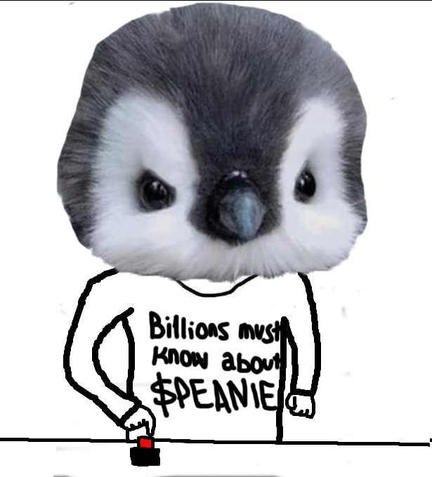 Eng 🐧 tweet media