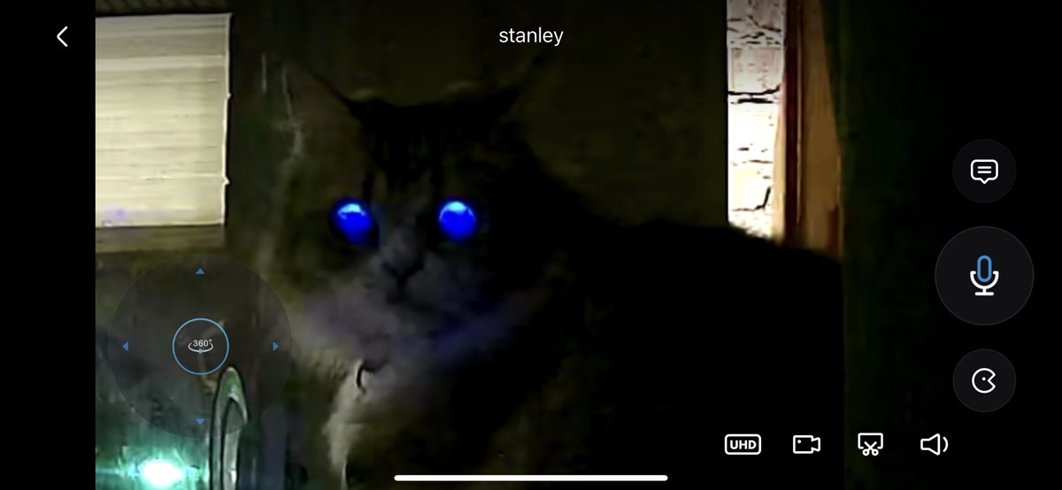 1amthebaby1's tweet photo. My cats are trying to kill me… https://t.co/zM00vWSMGU