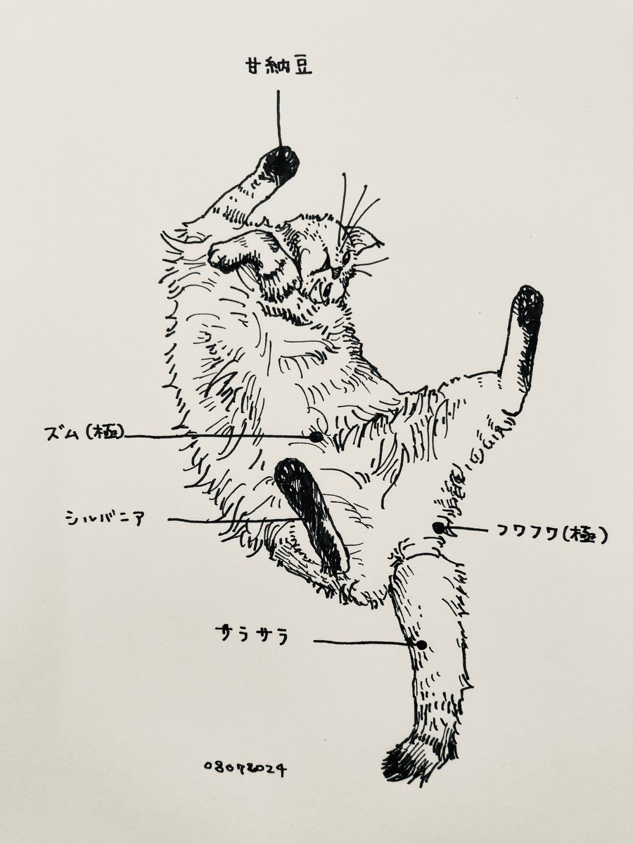 チャンコマ手触りマップ