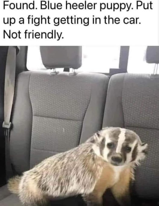 .