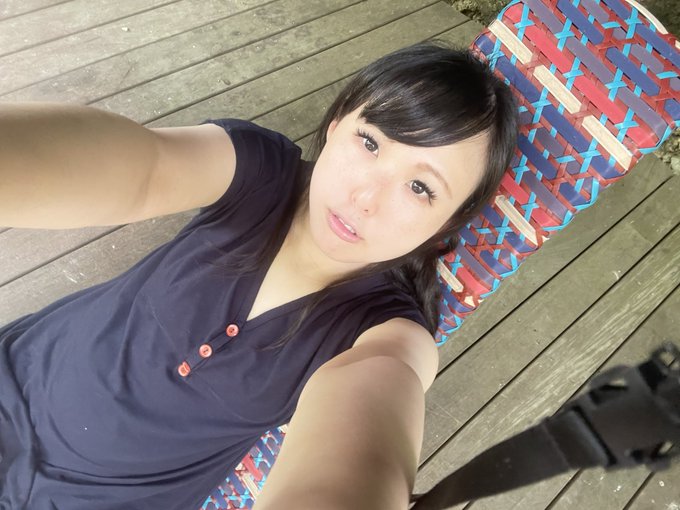 今年もどこからから https://t.co/odu5gmVzKQ