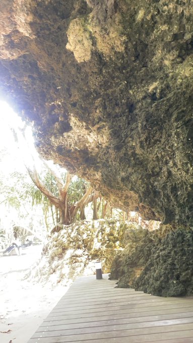 今年もどこからから https://t.co/odu5gmVzKQ