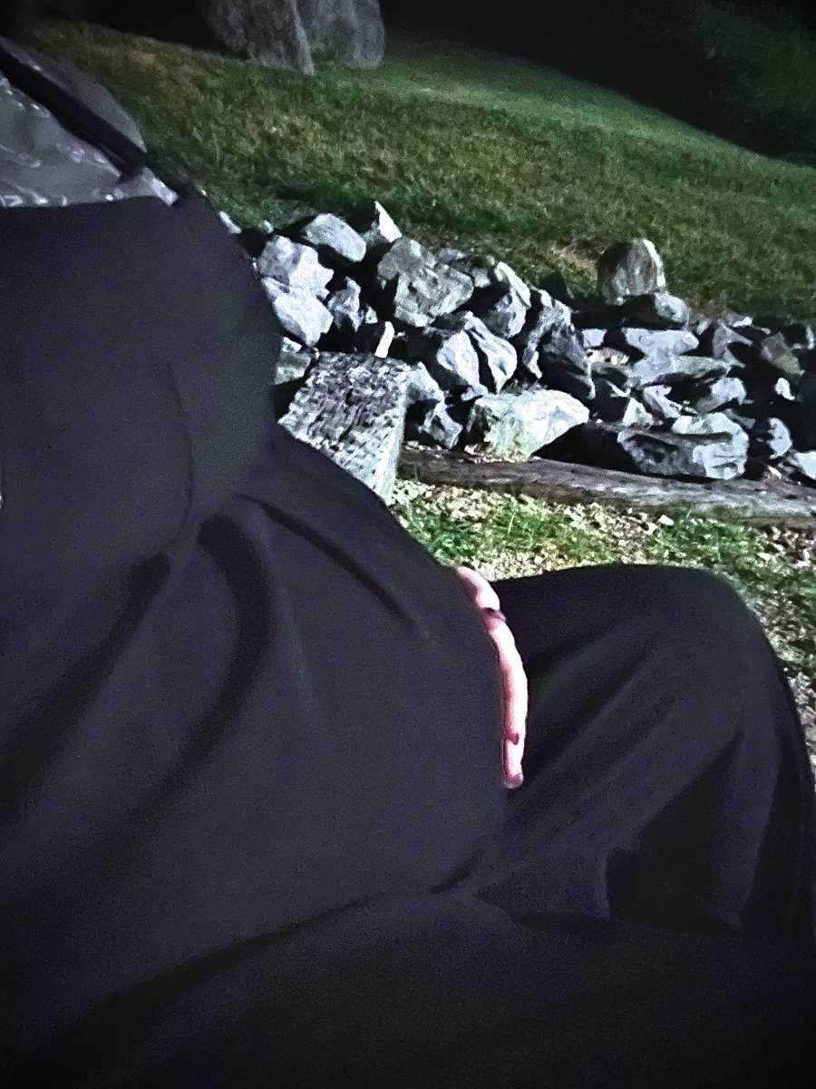 ValrietheElf's tweet photo. A walk in nature is just what this momma needed. Of course the babies want to stay up all night. 🙃 🌙 https://t.co/zVLG5S3eYO