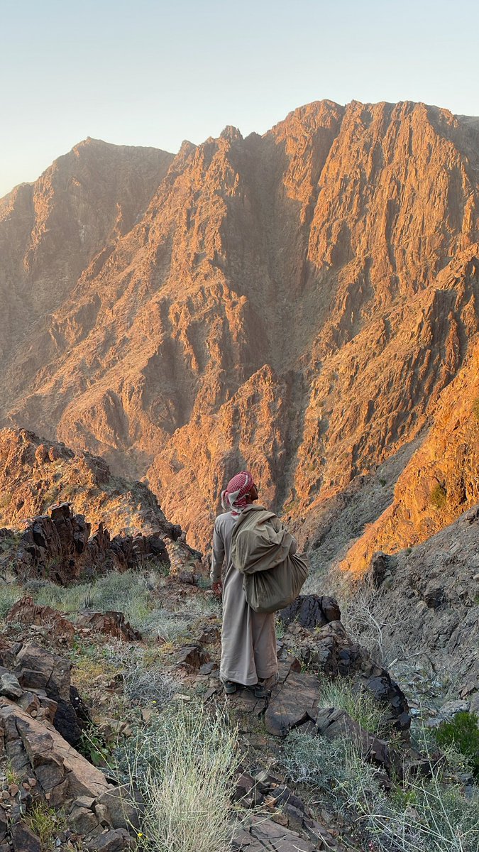 ikkxl's tweet photo. نصد الصدّه اللي ما تشابه صدّة الغِيّاب 
مع فجوج الخلا والمرقب اللي عاويًا ذيبه https://t.co/T6y0CwPRl7