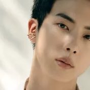 hourjinnie's tweet photo. THE EARCUFFS AND CHAINS MY GOD🫠🫠🫠🫠🫠🫠🫠🫠🫠🫠🫠

FRED GLOBAL AMBASSADOR JIN 
#JinxFredJewelry https://t.co/gd47dzB52D