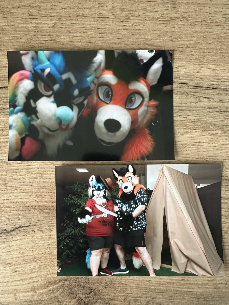 Photos from the booth at <a href="/CeSFuR/">ČeSFuR</a> with my love <a href="/_avafur_/">AvA</a> 

Thank you for amazing suit and for amazing con with you :*

#česfur #cesfur2024
