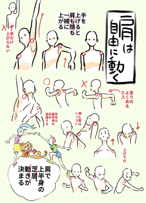 迷ったら服を脱げ⁈ 大体みんな肩腰が描けません。 肩腰の可動域は思ったより広く、木偶人形発想だとポーズが硬くなります。 わからなくなったらとりあえず服を脱いで自分の体で確認しましょー。 なんと顔は横向いただけで向いた方の肩が上がり、逆が下がる。 観察しないとわからない。