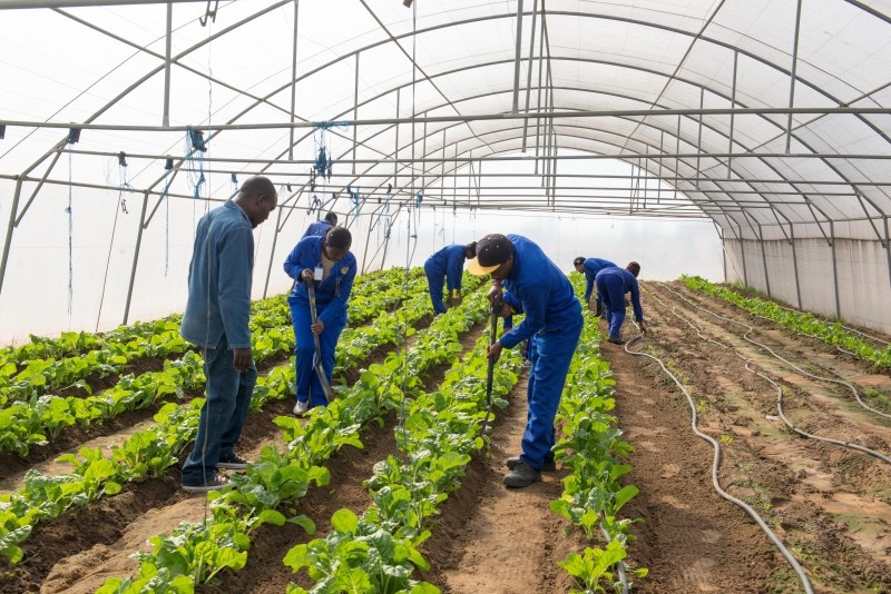 [ON AIR] We kick-off our new series on agriculture where we focus on the state of small-scale farming in building a sustainable entity. We are joined by Khakhu Mutheiwana; Nyiko Maluleke of <a href="/BuhlefarmersA/">BuhleFarmers'Academy</a>  &amp; <a href="/IpelengKwadi/">Ipeleng Seboni</a> on the #SAfmTalkingPoint with <a href="/CathyMohlahlana/">Cathy Mohlahlana</a>
