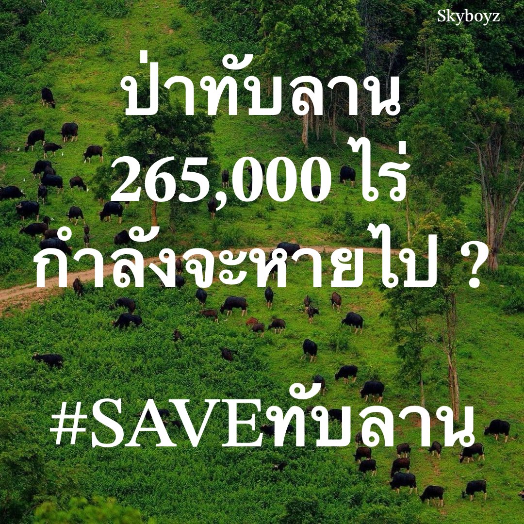 Skyboyz15's tweet photo. 🌳 ป่าทับลาน 265,000 ไร่ กำลังจะหายไป❓
คนไทยคิดอย่างไร❓ เพิกถอนพื้นที่ป่า ‼️
🐅🐃🐘🐒🐿️🐦‍⬛ หวั่นส่งผลกระทบระบบนิเวศของสัตว์ป่า
เกษตรกร หรือ นายทุน จะได้ประโยชน์❓
📍 ชวนแสดง���วามคิดเห็น คัดค้าน
ได้ที่ เว็บไซต์ของกรมอุทยานฯ ตามลิงก์นี้ครับ  https://t.co/WOK3wE8Px2 
 #Saveทับลาน https://t.co/f9rTD909yL