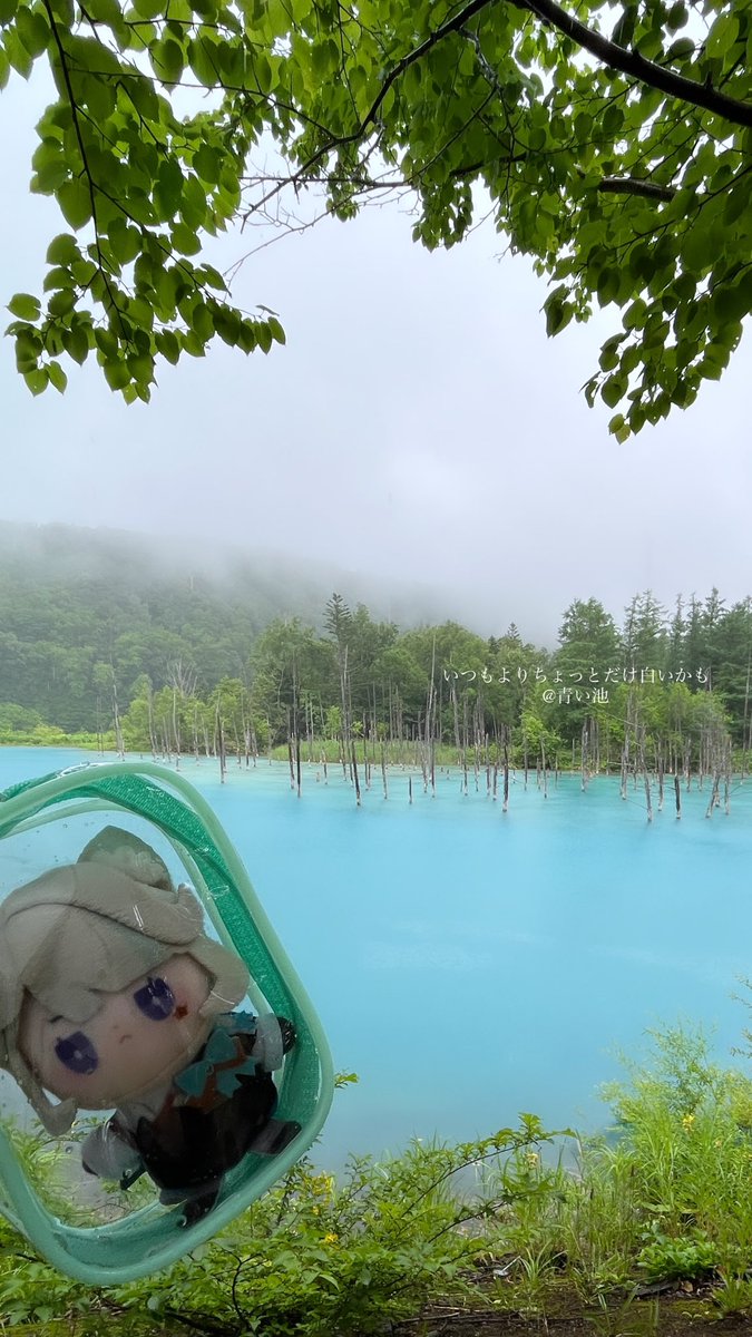 ikunoda's tweet photo. 推し活かもしれない🪻🌧️
#MaryPoppins
#Vanis #Lynette https://t.co/pt0zCy6DGx