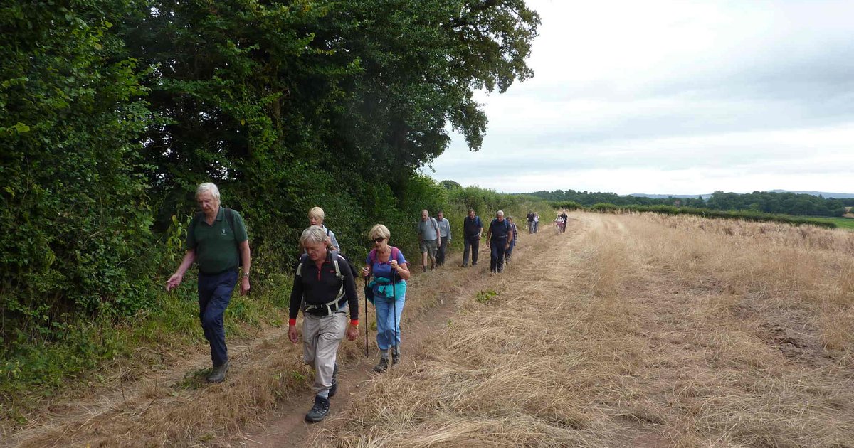 StaffsLibraries's tweet image. Join us for a healthy 8 mile walk from @KinverLibrary
Tues 6 Aug 10am departure £2 per person
A shorter 3 mile led walk will also be available on the day departing at 12:30
Both walks include a lunch break &amp;amp; return by 3pm
01384 872348 for details or to book