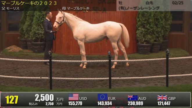 LongBallToNoOne's tweet photo. White yearling colt MAURICE x MARBLE CAKE went for ¥190,000,000 ($1.75mil) at the Select Sale https://t.co/r9d2pS8ag8
